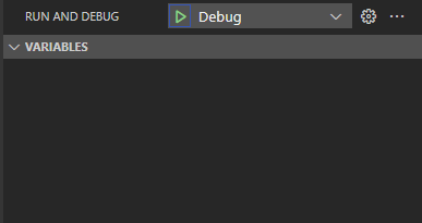 Debugging start icon